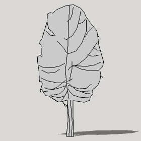 ͼʦģֲTTrees2Dֱģ068