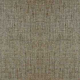 ͼⲼ-鲼02 500 2