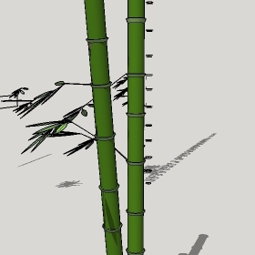 ͼʦģֲģȫ20222696