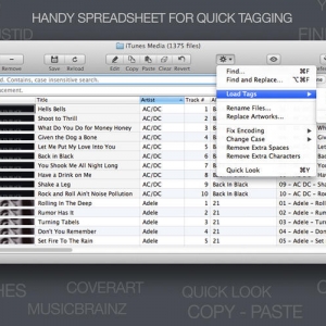 Tag Editor 1.0.6 – 批量重命名音频文件并添加标签 最新绿化版