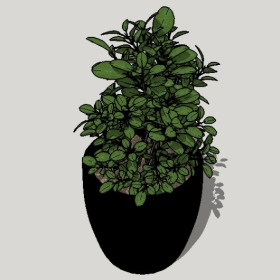 ͼʦSketchupƷģ20221125ϴ053