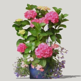 ͼʦģֲģȫ20221214