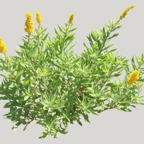 ͼʦģֲģȫ20221490