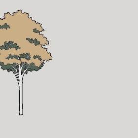 ͼʦģֲģȫ20222375