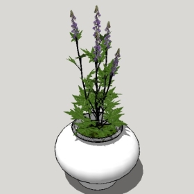 ͼʦSketchupƷģ20221125ϴ018