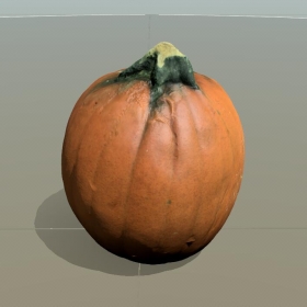 SpeedTeee  01-Pumpkin Ϲ 48M