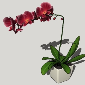 ͼʦSketchupƷģ20221125ϴ081