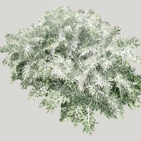 ͼʦģֲģȫ20221096