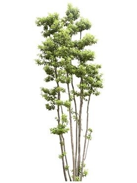 720úTH_105AP
