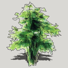 ͼʦģֲģȫ20222478