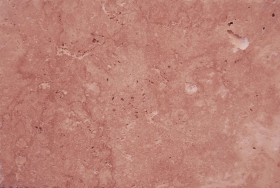 ʯשTileMaterial_70