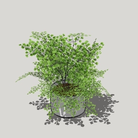 ͼʦģֲģȫ20221274