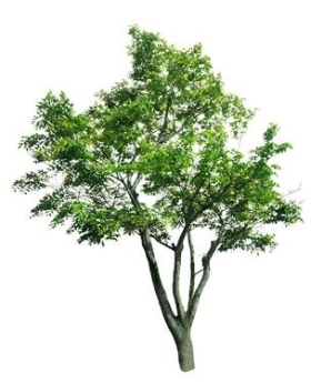 720úTH_029p
