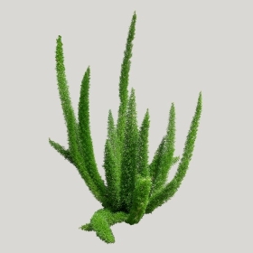 ͼʦģֲģȫ20221378