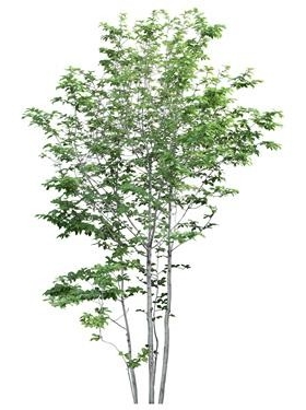 720úTH_054AP