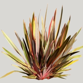 ͼʦģֲģȫ20221999