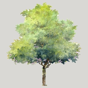 ͼʦģֲģȫ20222656