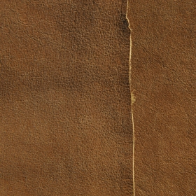 Ƥdesigntnt-textures-leather-2-9