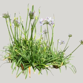 ͼʦģֲģȫ20221837