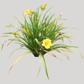 ͼʦģֲģȫ20221022