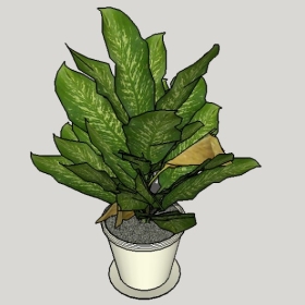 ͼʦSketchupƷģ20221125ϴ034