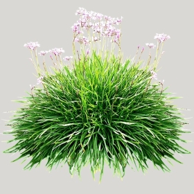 ͼʦģֲģȫ20222037