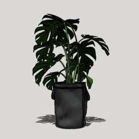 ����ֲ��_Sketchup��ͼ��ʦģ��Enscape����22020426546