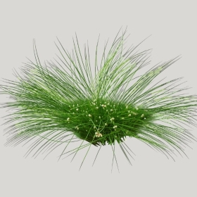 ͼʦģֲģȫ20221304