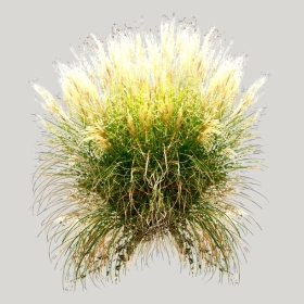 ͼʦģֲģȫ20221873