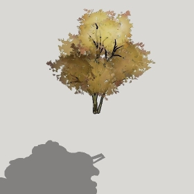 ͼʦģֲģȫ20222427