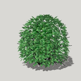 ͼʦģֲģȫ20221194