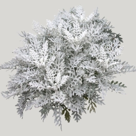 ͼʦģֲģȫ20221100