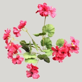 ͼʦģֲģȫ20221445