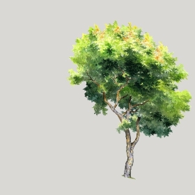 ͼʦģֲģȫ20222695