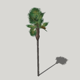 ͼʦģֲģȫ20221278