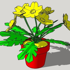 ͼʦģֲģȫ20221321