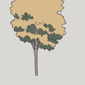 ͼʦģֲTTrees2Dֱģ119