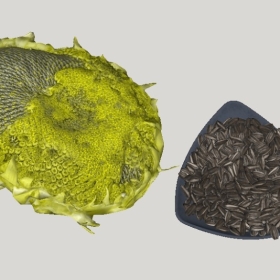 ʳ_SketchupͼʦģVray202204251440