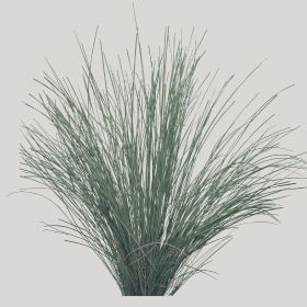 ͼʦģֲģȫ20222428