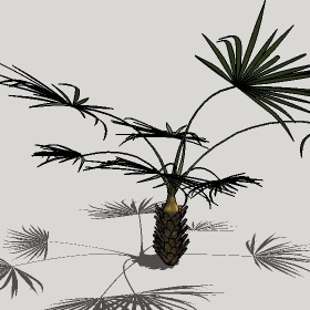 ͼʦģֲģȫ20222334