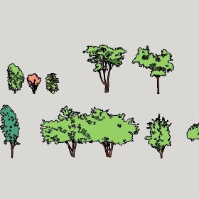 ͼʦģֲģȫ20222600