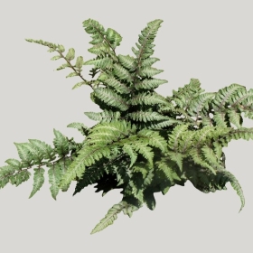 ͼʦģֲģȫ20221734