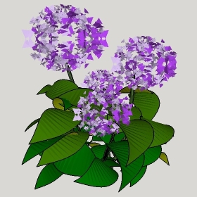 ͼʦģֲģȫ20222652