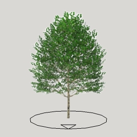 ͼʦģֲģȫ20222213