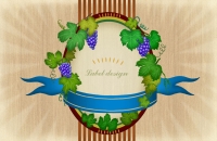 PSD�ʻ�����ģ��Դ�ļ�FL-0446