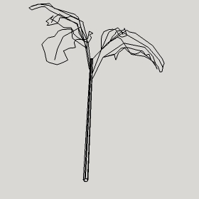 ͼʦģֲģȫ20222382