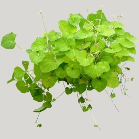 ͼʦģֲģȫ20221907