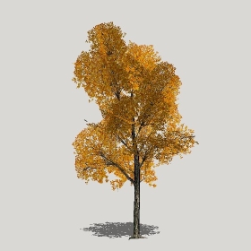 ͼʦģֲģȫ20221301