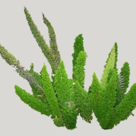 ͼʦģֲģȫ20221374