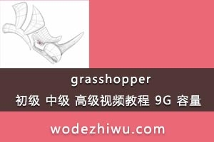 rhino - grasshopper м ߼Ƶ̳ 9G 
